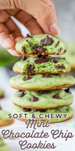 Mint Chocolate Chip Cookie Recipe – Tasty Chomp