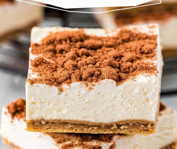 No Bake Keto Churro Cheesecake Bars Recipe